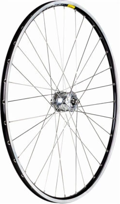 Delux + Open Pro + Sapim Race 28" Laufrad - Auslaufmodell