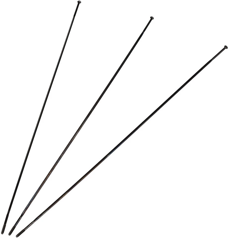 SRAM Ersatzspeichen Für Roam 60 29" Laufradsatz 1 SRAM Ersatzspeichen Für Roam 60 29" Laufradsatz