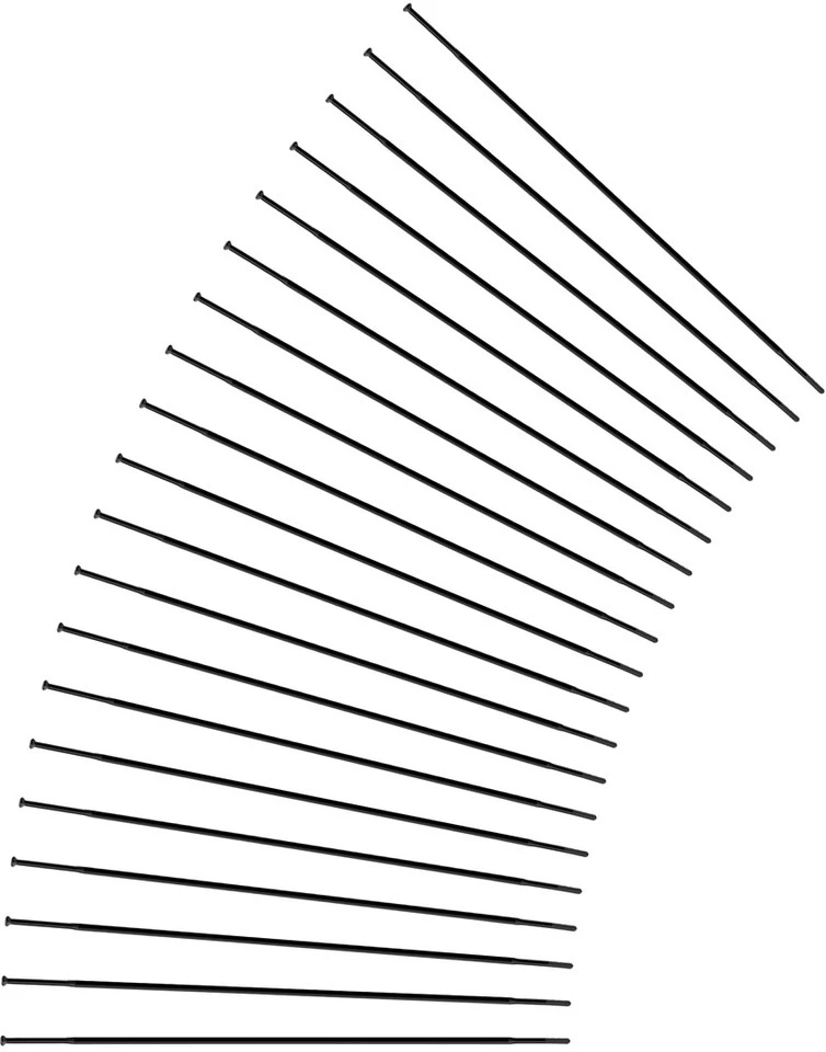 Sapim CX-Ray Straightpull Speichen + Nippel - 20 Stück - Auslaufmodell 5 Sapim CX-Ray Straightpull Speichen + Nippel - 20 Stück - Auslaufmodell – Bild 5