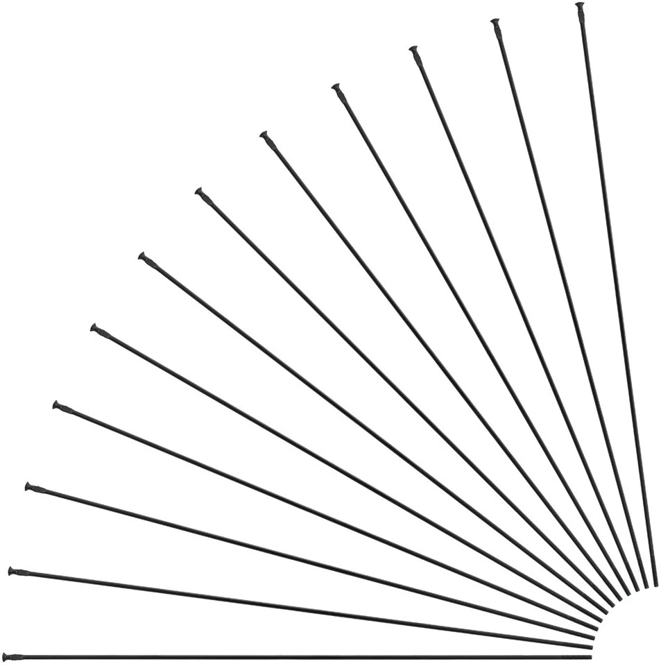 Mavic Aksium Allroad Disc 650B Ersatzspeichen Modell 2018 1 Mavic Aksium Allroad Disc 650B Ersatzspeichen Modell 2018