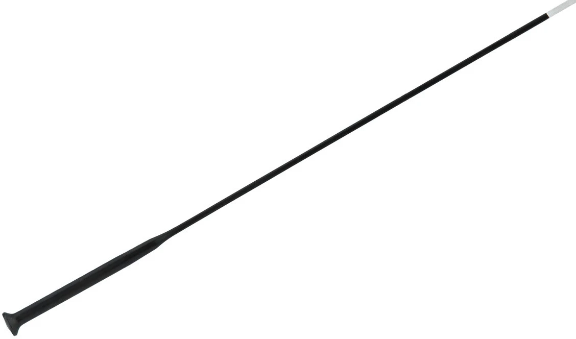 Campagnolo® Bora Ultra 50 Ersatzspeichen 2 Campagnolo® Bora Ultra 50 Ersatzspeichen – Bild 2