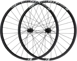 Dt-swiss FR 1950 CLASSIC 30 Boost Disc Center Lock 29" Laufradsatz