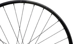Tune Race 23 Boost Disc 6-Loch 29" Laufradsatz -Rad Zentrum Geschaft 342174