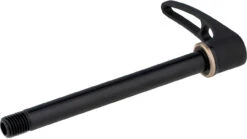 Dt-swiss RWS Road Steckachse Mit Schnellspannhebel -Rad Zentrum Geschaft 348243