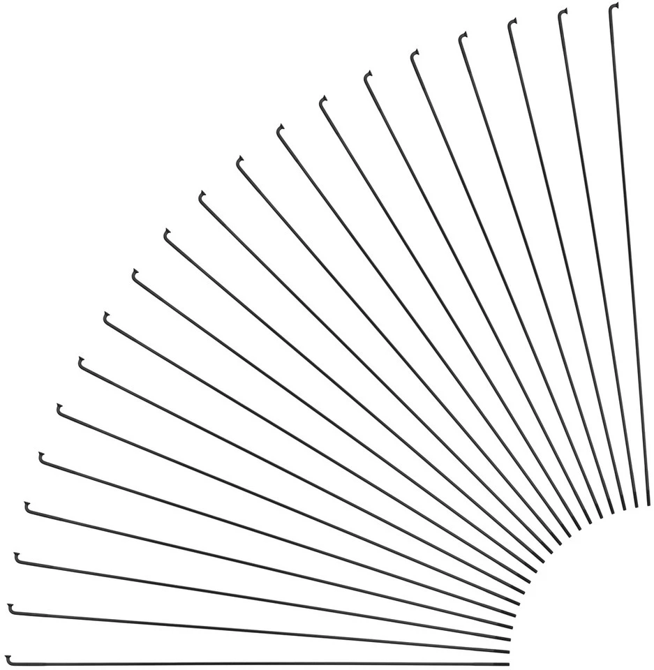 Sapim Race J-Bend Speichen + Nippel - 20 Stück 1 Sapim Race J-Bend Speichen + Nippel - 20 Stück
