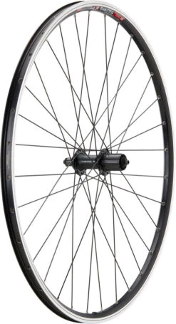Urban Acera V-Brake DT Swiss 535 28" Laufradsatz -Rad Zentrum Geschaft 396792