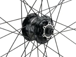 Mountain Alivio Disc 6-Loch DT Swiss 466d 29" Laufradsatz 16 Mountain Alivio Disc 6-Loch DT Swiss 466d 29" Laufradsatz -Rad Zentrum Geschaft 399626